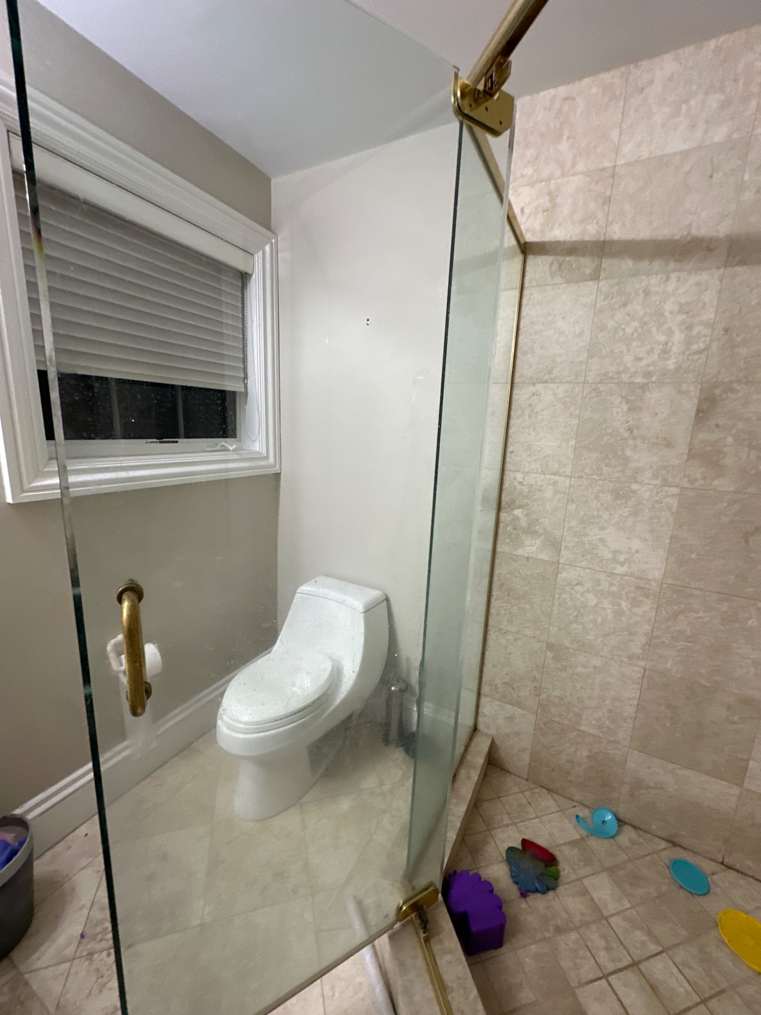 Bathroom toilet area before cleaning